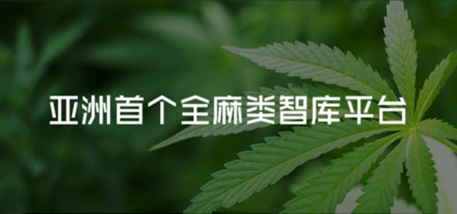 麻时代